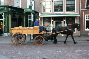 Während des Käsemarktes in Hoorn werden die Käselaiber mit Pferd und Wagen zum Markt gefahren.
